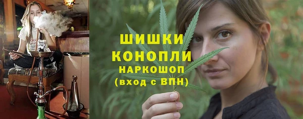 сатива Алексин