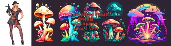 сатива Алексин