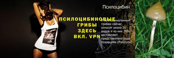 сатива Алексин