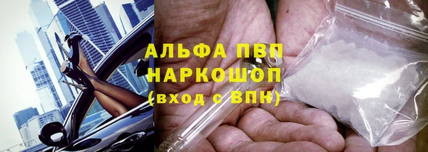 сатива Алексин