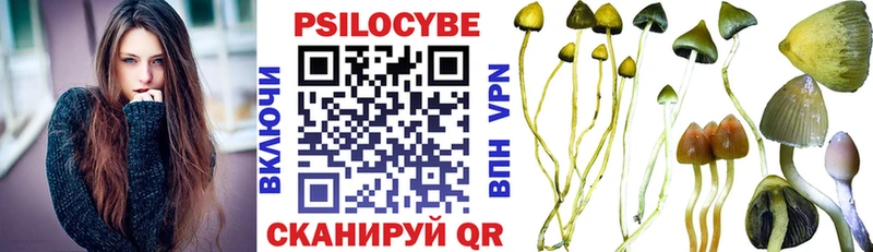хочу наркоту  Бердск  Галлюциногенные грибы MAGIC MUSHROOMS 
