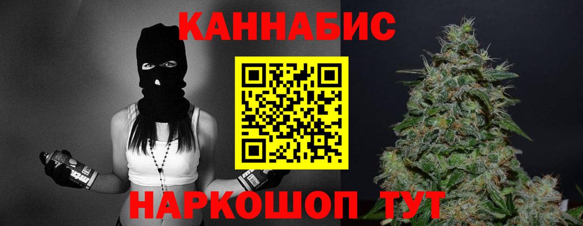 Каннабис план  Бошки Шишки гибрид  МАРИХУАНА марихуана  Бердск  Конопля Ganja  Вход с VPN 